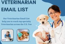 Why Veterinarian Email List Is Your Ultimate Secret Weapon for Effective Marketing