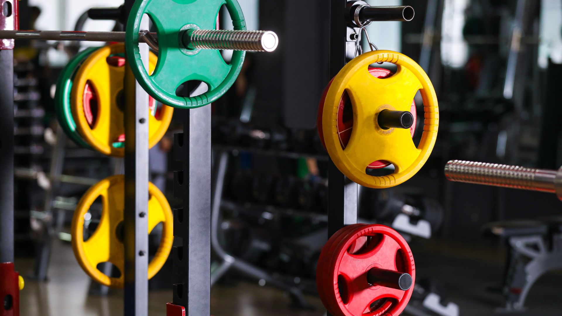 The Essential Guide to Power Racks