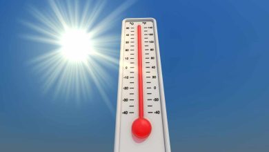 The Importance and Versatility of Thermometers