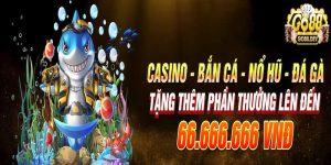 Đánh giá thực tế của người chơi